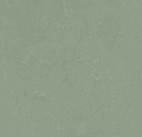 3750 Pine Forest Concrete 